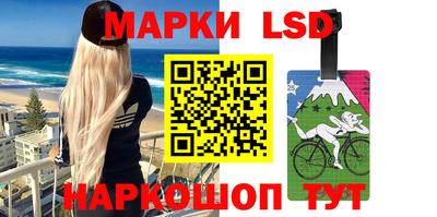 стафф Бийск