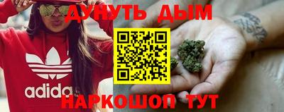 стафф Бийск
