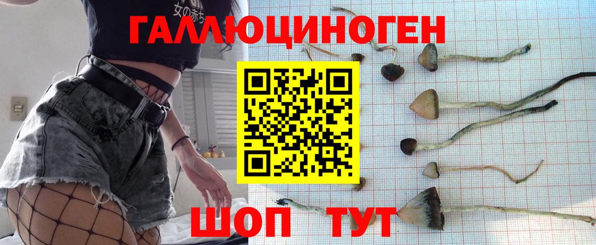Псилоцибиновые грибы прущие грибы  Галлюциногенные грибы мухоморы  Вход с VPN  Клинцы 